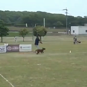 「脱走小僧」４の画像