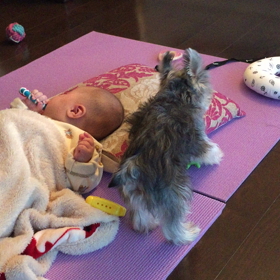 おもちゃで、あそぶ。の画像