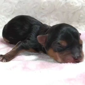 今朝の続きの画像