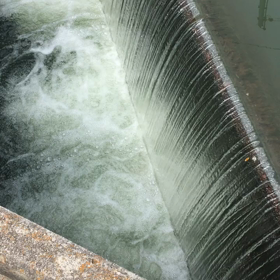 I'm back！の画像