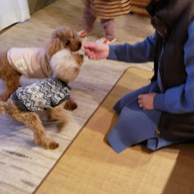 ももハマ運動会パート2の画像