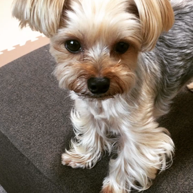 サクサク♡の画像