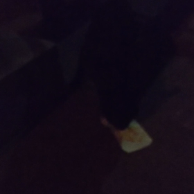 明日は必ずの画像