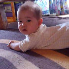 ゴチンｯΣ(゜Д゜)の画像