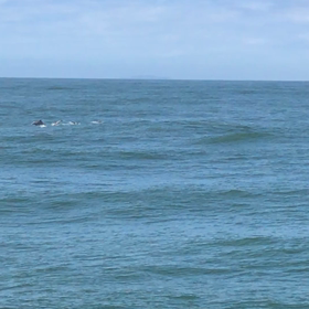 ふと釣り場に行くと。。。。の画像