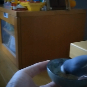 文鳥さんの朝食風景の画像