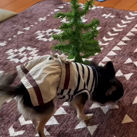 練習３〜シェリ＆べる〜の画像