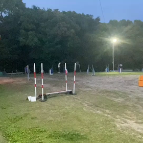 うたちゃんからのお便りですの画像