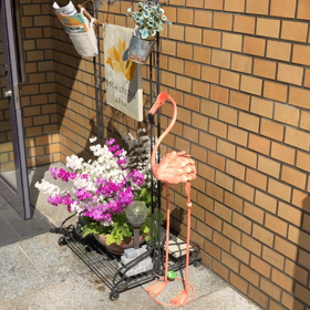 4/22(月)〜4/28(日)までのスケジュールの画像