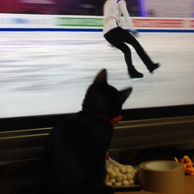 夜斗とテレビの画像