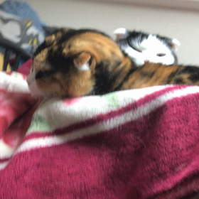 お先に〰の画像