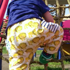 たくのトレーニング日記3の画像