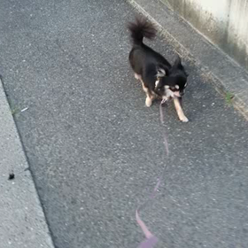 元気かな？の画像