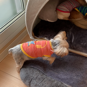 クリちゃんの芸？の画像