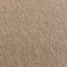 一緒に笑う幸せの画像