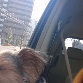 お誕生日ついでにドライブ☆の画像