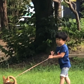 愛犬コムギの画像