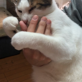 美味しいなぁの画像