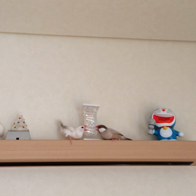 ババにかないまへんの画像