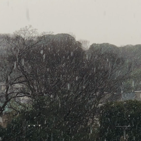 ホワイトデーの画像