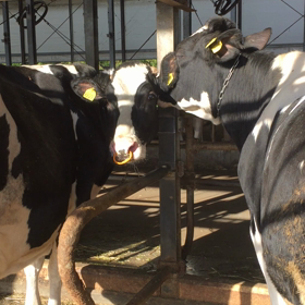 仲良し♡の画像