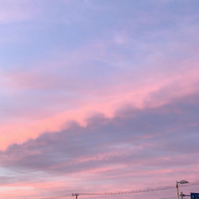 もぎたて2の画像