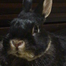 最期を振り返るの画像