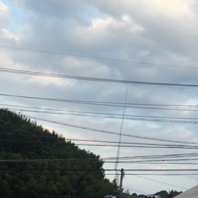 草薙大龍勢 動画の画像