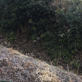 ”取材”の画像