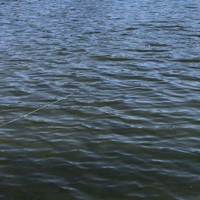 マット親子、テスト。の画像