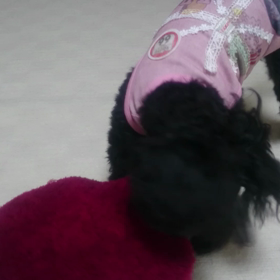 あ～あ！の画像