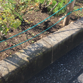 今日のレオ   11・23   雪降るのかな？の画像