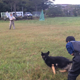宮城合同練習の画像
