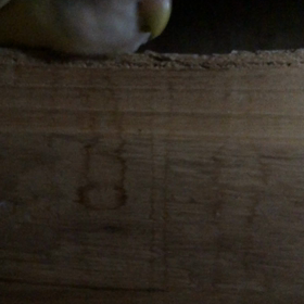 今日はテレビ放送の日の画像