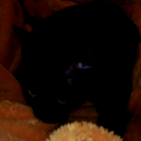 モミモミ～♪(*^.^*)の画像