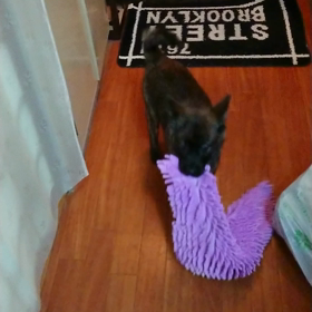 お風呂マットの画像