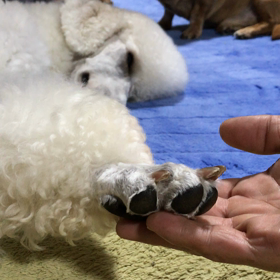 寝ていても〜の画像