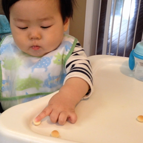 たまごぼうろの画像