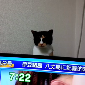 テレビの裏側の画像