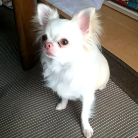 初めて出来た♪の画像