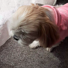 ３月１日の画像