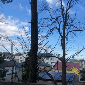 浅間神社、裏の画像