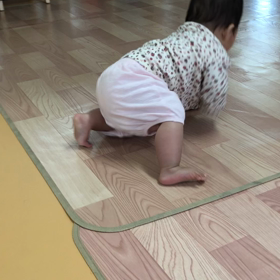 慣らし保育6回目の画像