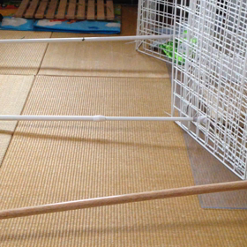 少し進歩の画像