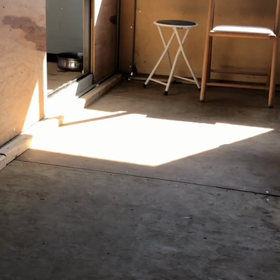 里親さま募集中ですの画像