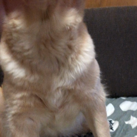 おはよーの画像