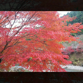 走馬灯…☆の画像