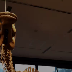 この記事の画像