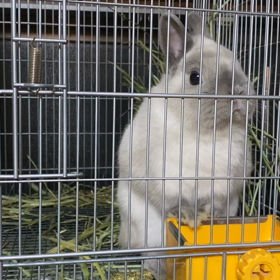 またまた　たんじ君の画像