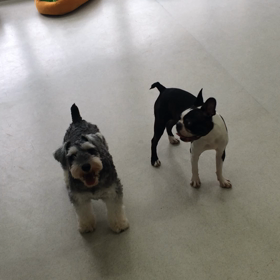 ♪プレイルーム動画♪の画像